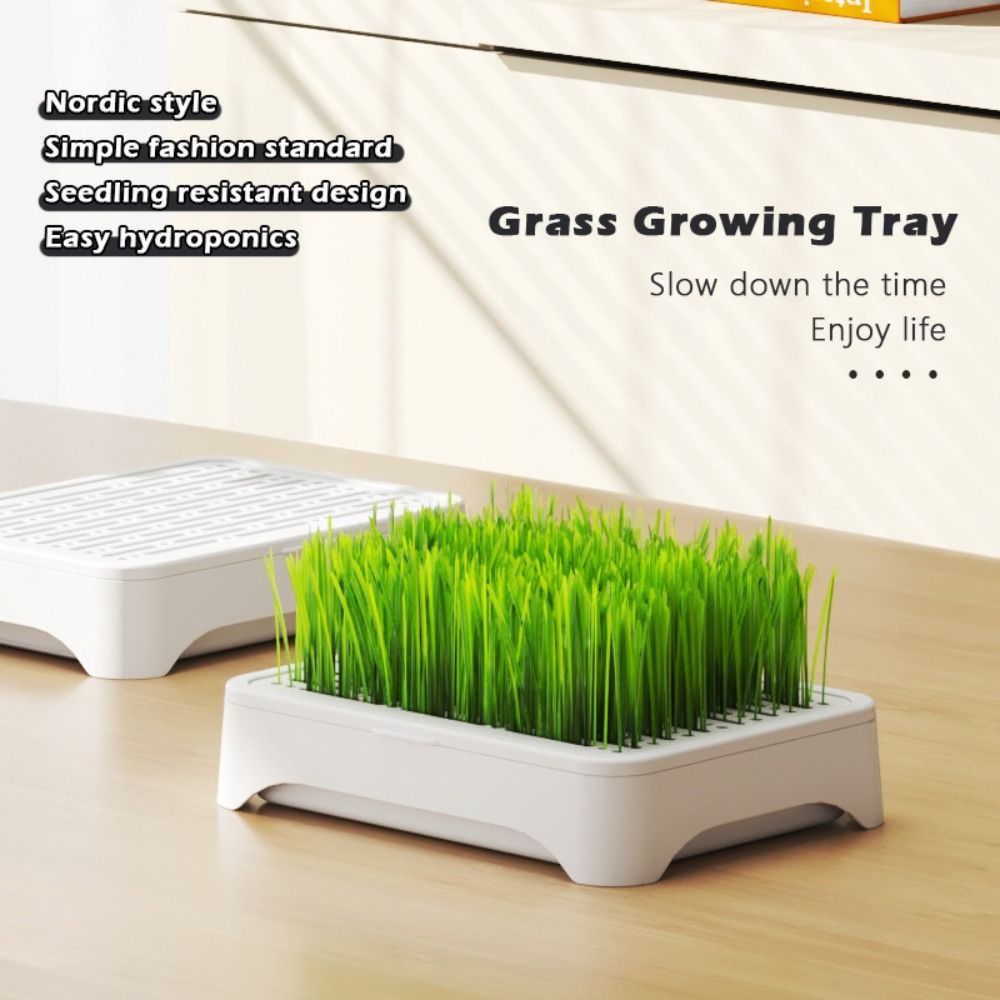 Grass Seed Spreader - صينية زراعة مائية بلاستيكية ذاتية الزرع
