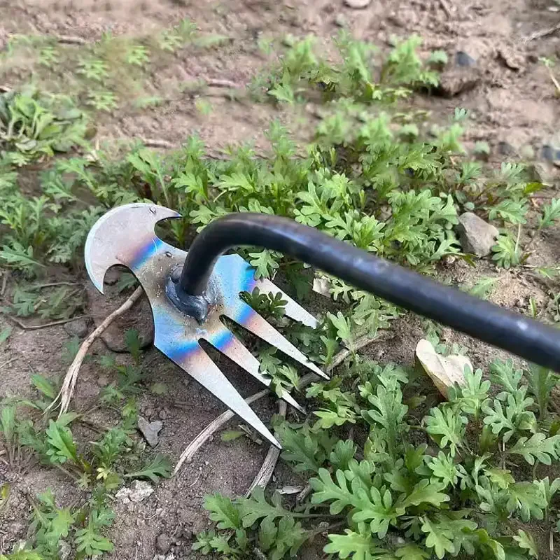 Grass Seed Spreader - أداة إزالة الأعشاب الضارة من الفولاذ