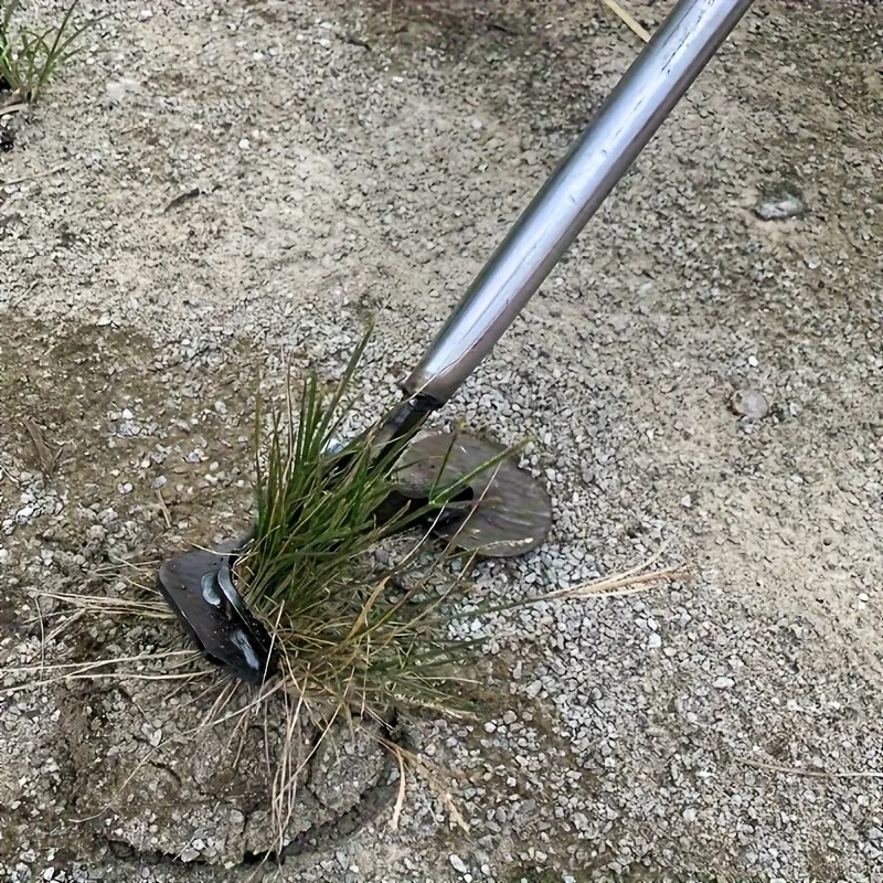 أداة يدوية متعددة الوظائف لإزا - مراجعة Grass Seed Spreader وسعره