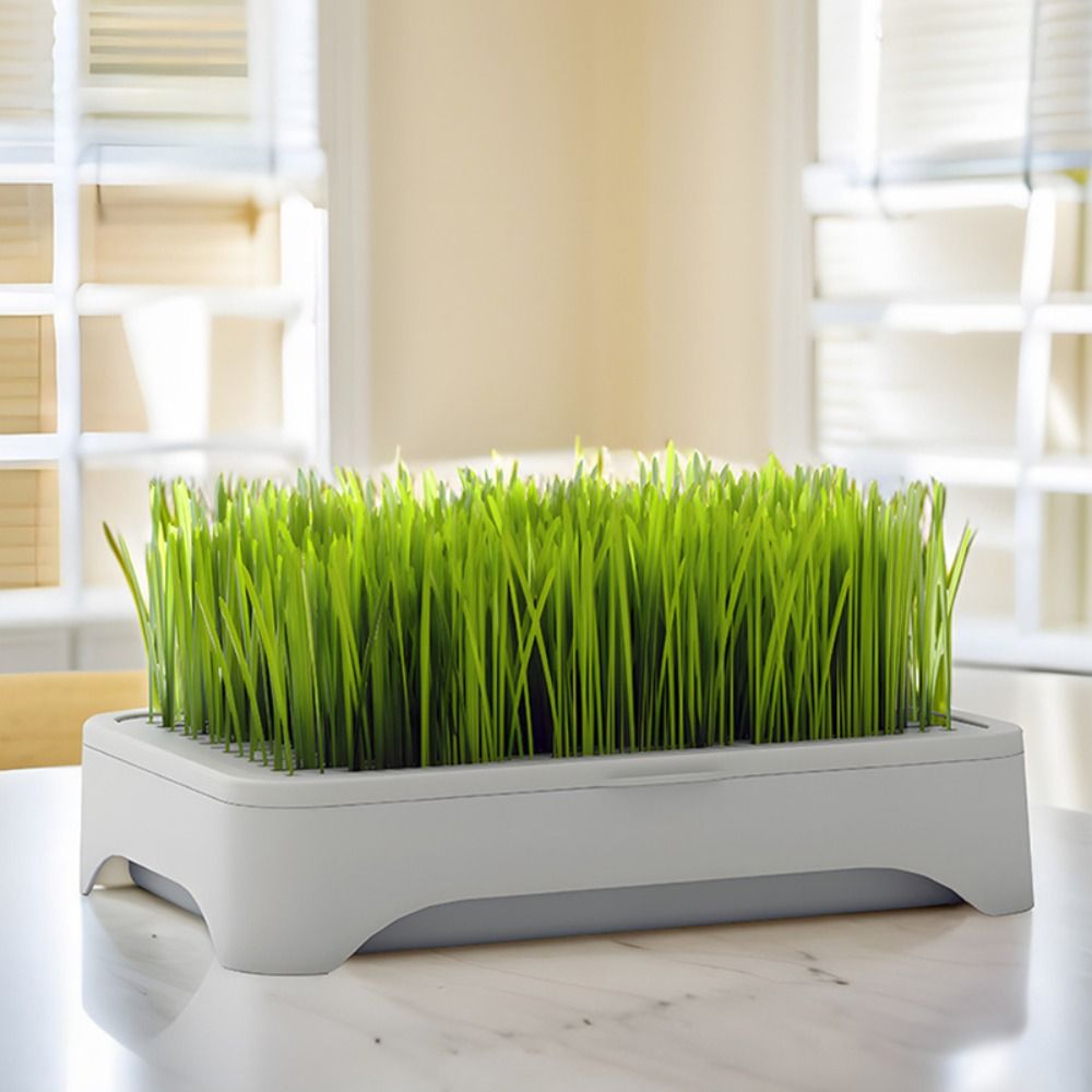 صينية زراعة مائية بلاستيكية ذا - مراجعة Grass Seed Spreader وسعره