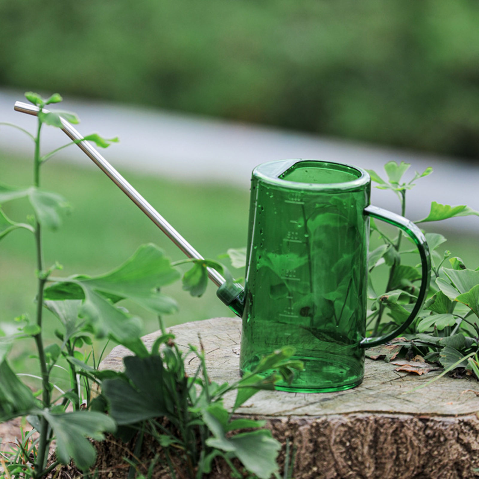 إبريق سقي للنباتات الداخلية سع - مراجعة Gardening Tools For Beginners وسعره