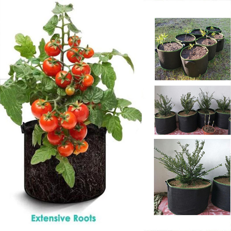 أوعية زراعة 20 جالون أكياس زهو - مراجعة Gardening Tools Big وسعره