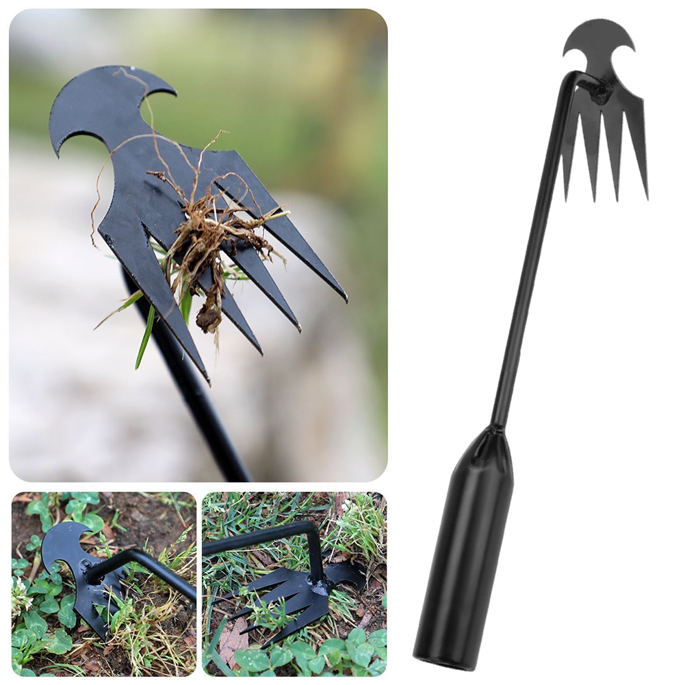 أداة مجرفة الحديقة 2 في 1 مجرف - مراجعة Grass Seed Spreader وسعره