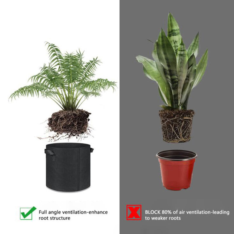 5 جالون 10 جالون نسيج نبات الب - مراجعة Gardening Tools Big وسعره