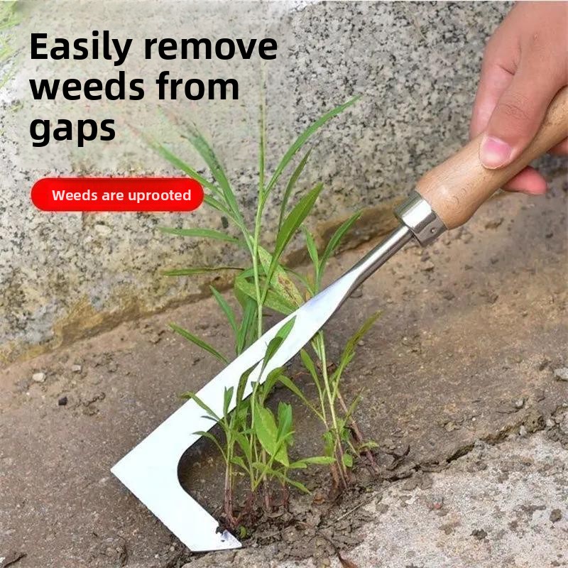 أداة إزالة الأعشاب على شكل حرف - مراجعة Grass Seed Spreader وسعره
