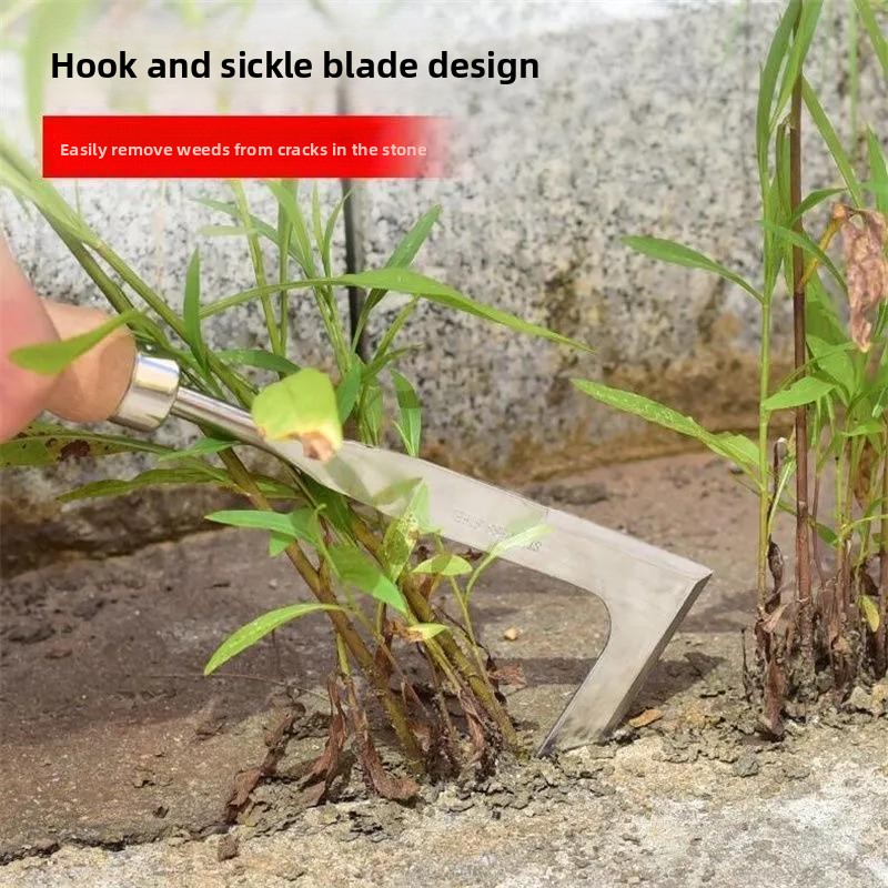 أداة إزالة الأعشاب على شكل حرف - مراجعة Grass Seed Spreader وسعره