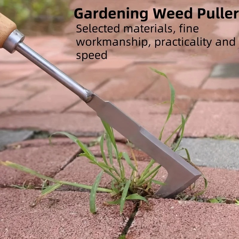 أداة إزالة الأعشاب على شكل حرف - مراجعة Grass Seed Spreader وسعره