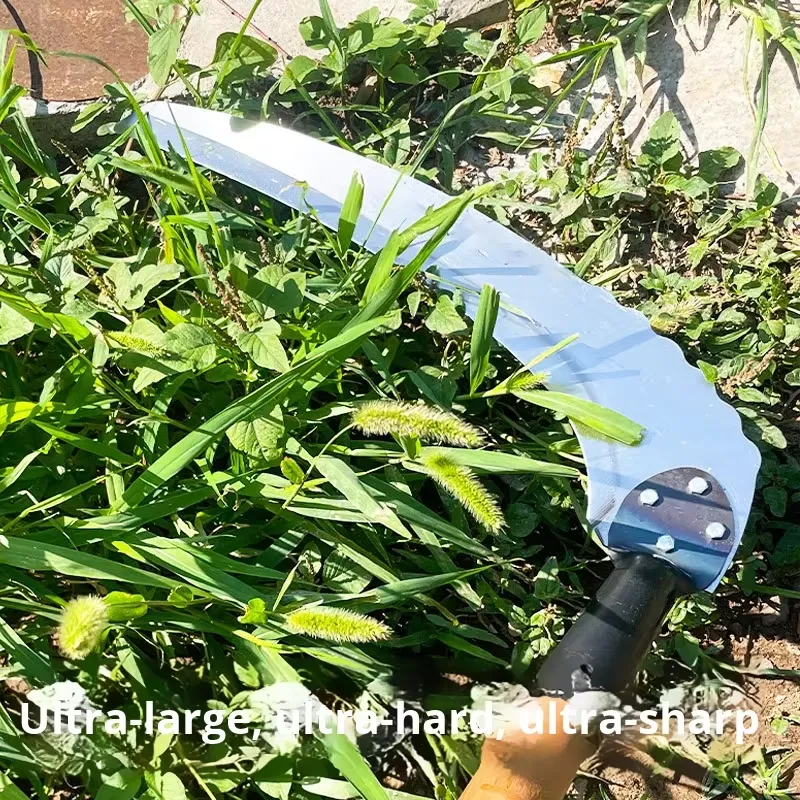 منجل جديد بمقبض طويل وحجم كبير - مراجعة Gardening Tools For Beginners وسعره