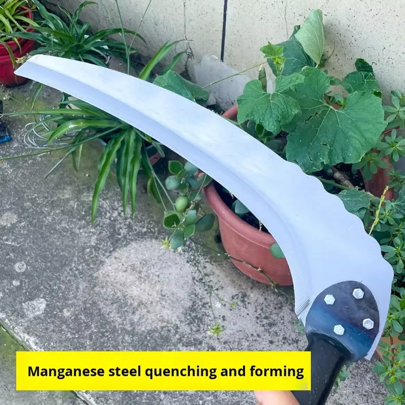 منجل جديد بمقبض طويل وحجم كبير - مراجعة Gardening Tools For Beginners وسعره
