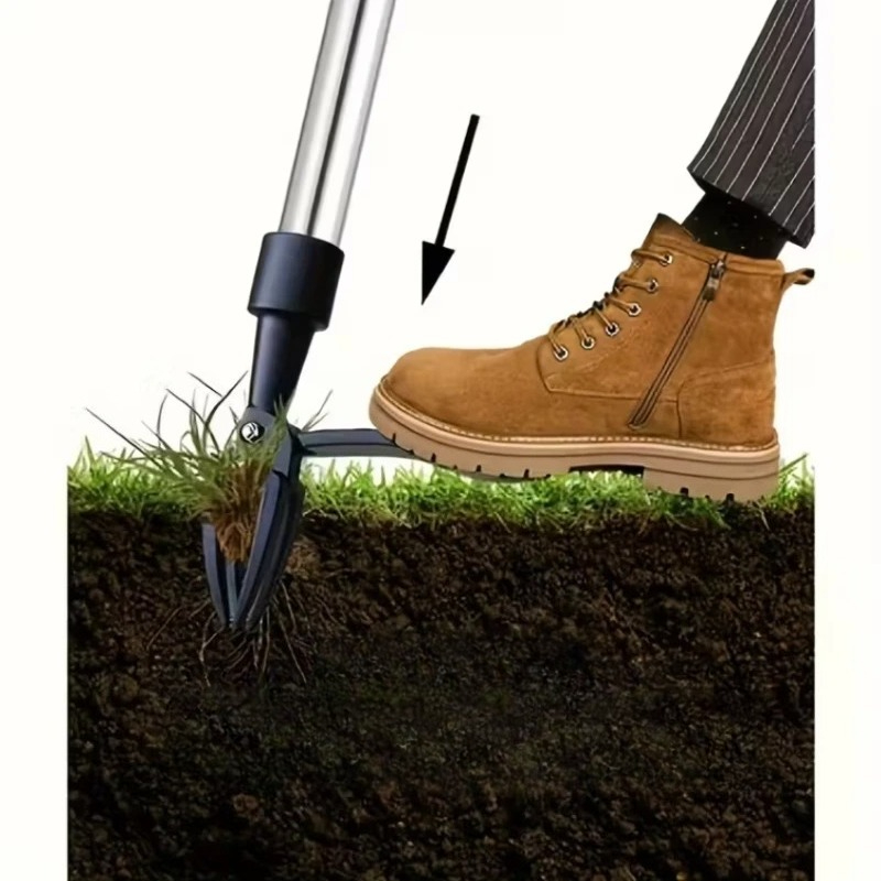 أداة إزالة الأعشاب الضارة عمود - مراجعة Grass Seed Spreader وسعره
