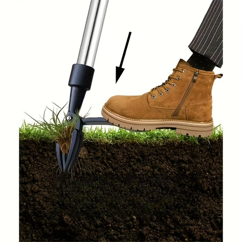 أداة إزالة الأعشاب الضارة عمود - مراجعة Grass Seed Spreader وسعره